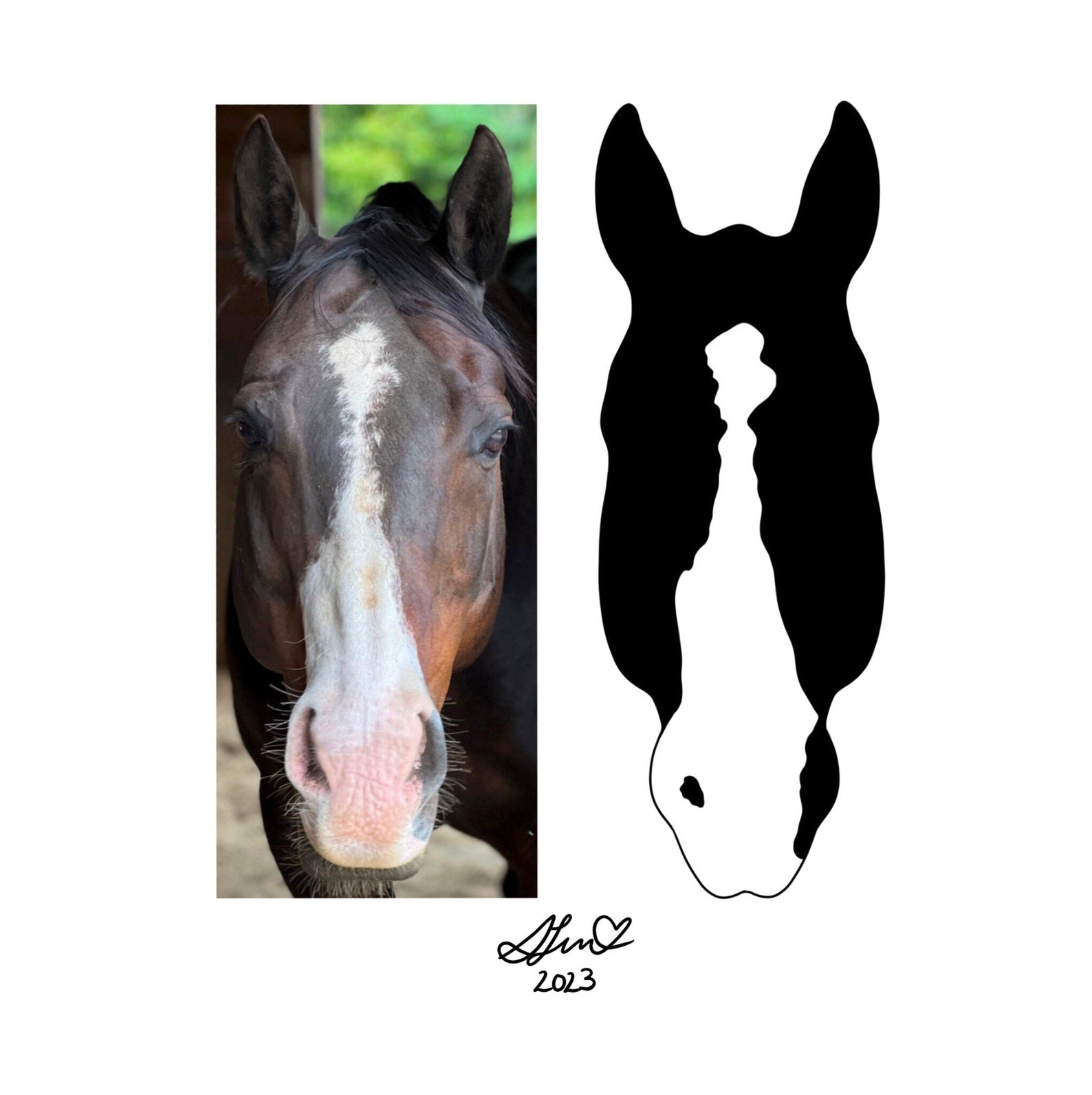 Custom Horse Silhouette | Custom Horse Markings | Horse Portrait | Digital Illustration | Custom Portrait | Digital Document ONLY